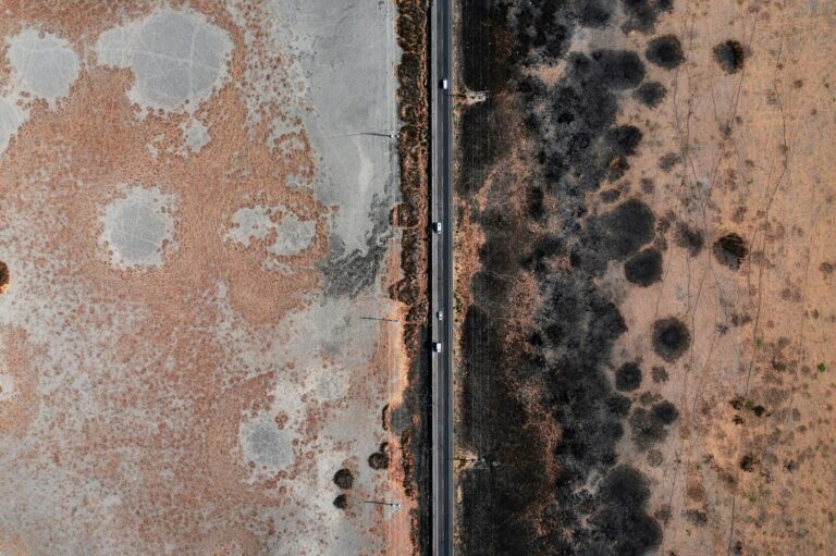 Top 4 Reasons Every Flooded House Is Vulnerable to Mold Infestation